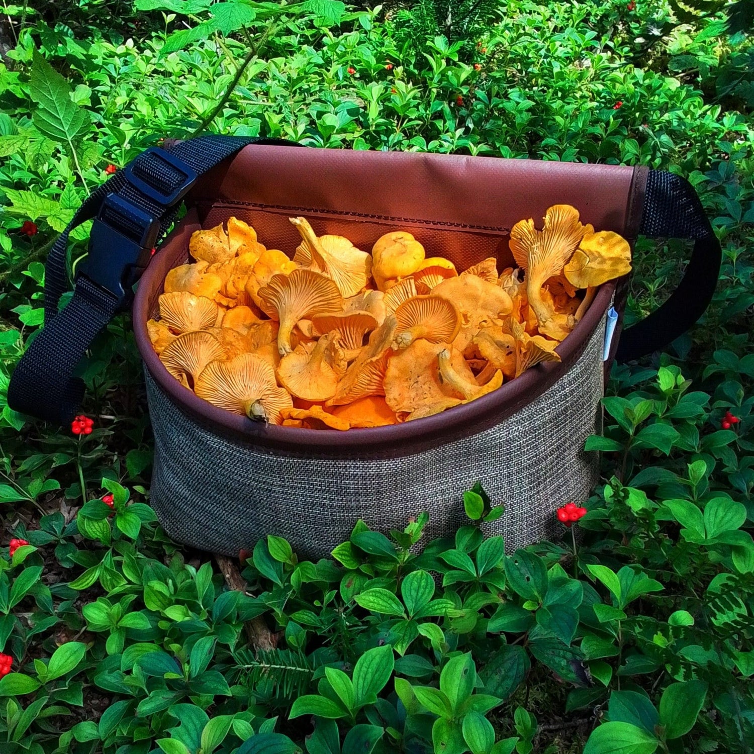 THE FORAGER BAG